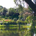 Bvumba Botanical Garden Lake